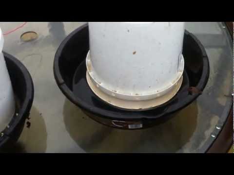 Homemade 5 Gallon Bucket Waterer For Chickens
