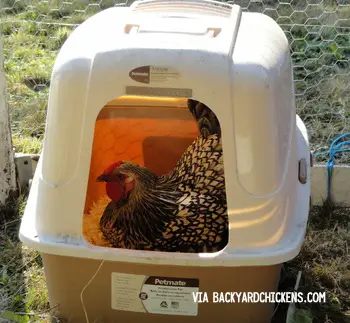 DIY Nesting Boxes for chickens