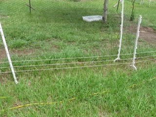 Safe Electric Chicken Fence