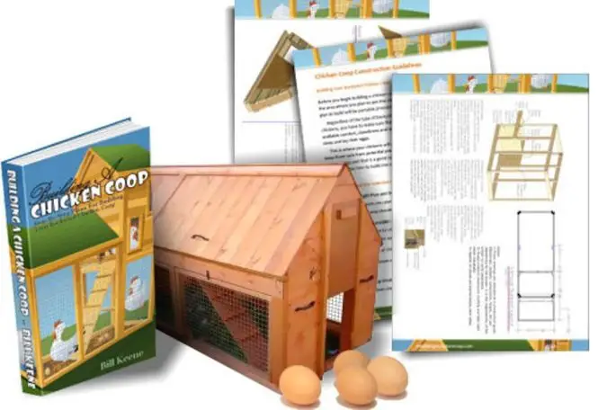 How to build a chicken coop