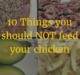 10 Things you should NOT feed your chicken