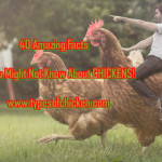 40 Amazing Facts You Might Not Know About CHICKENS!