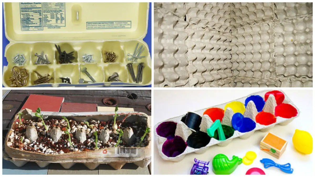 What to do with your egg cartons? 6 easy DIY ideas