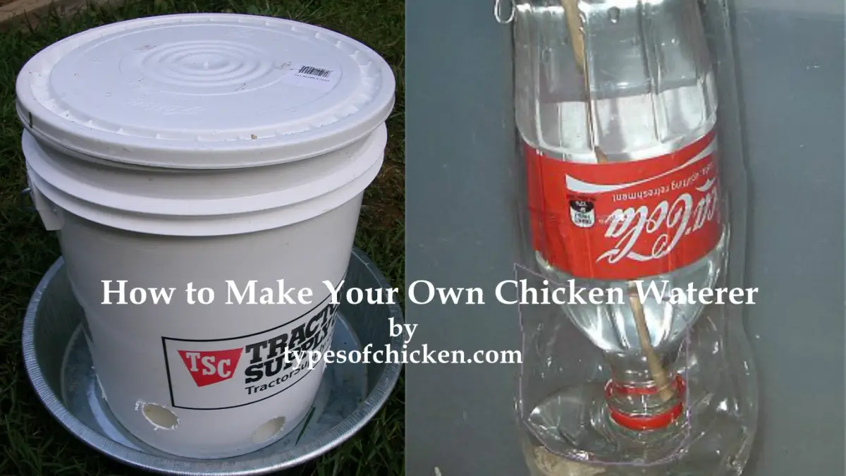 How to Make Your Own Chicken Waterer – 2 DIY projects!!!