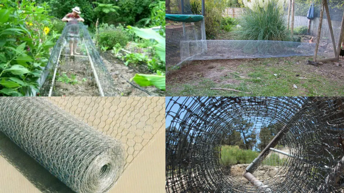 How To & Why Should you Make Your own Chicken Tunnel!