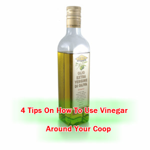 Cleaning Your Coop With Vinegar