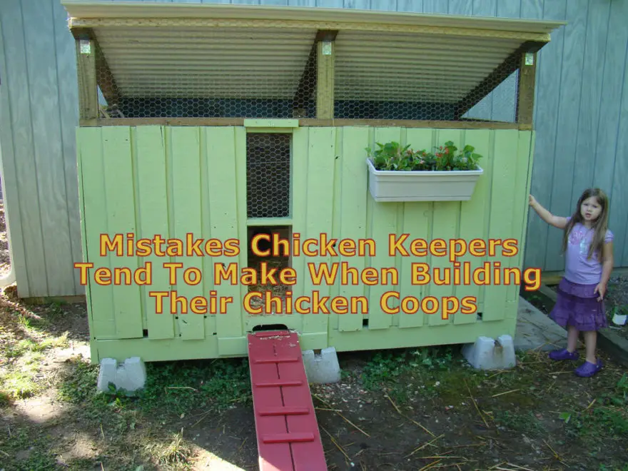 Mistakes Chicken Keepers Tend To Make When Building Their Chicken Coops