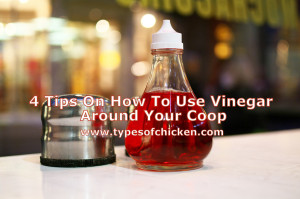 4 Tips On How To Use Vinegar Around Your Coop