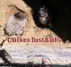 Chicken Dust Baths