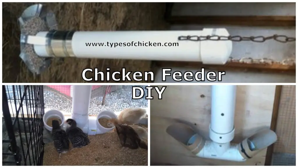 How To Make Your Own Chicken Feeder