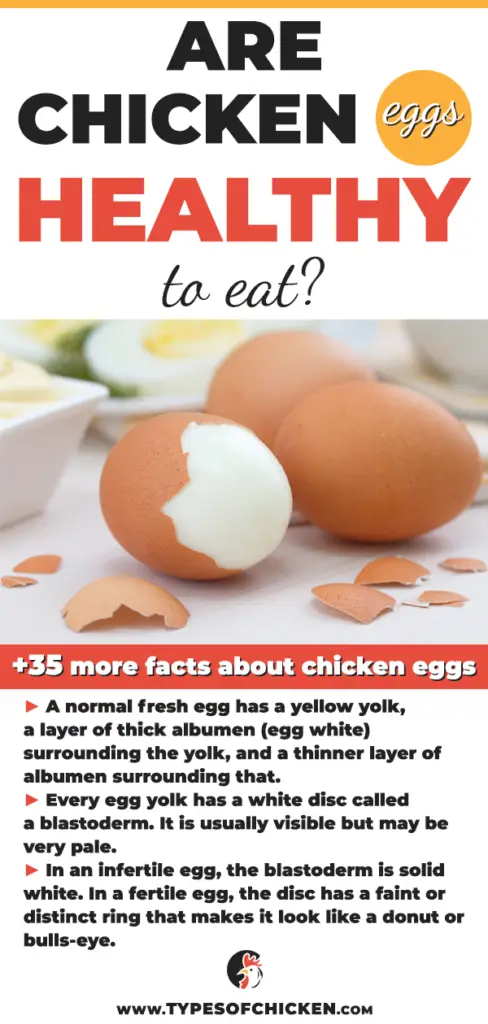According to Dr. Santis eggs are an inexpensive source of high-quality protein that also happens to be a source of antioxidants, namely lutein and zeaxanthin, which benefit eye health as well.