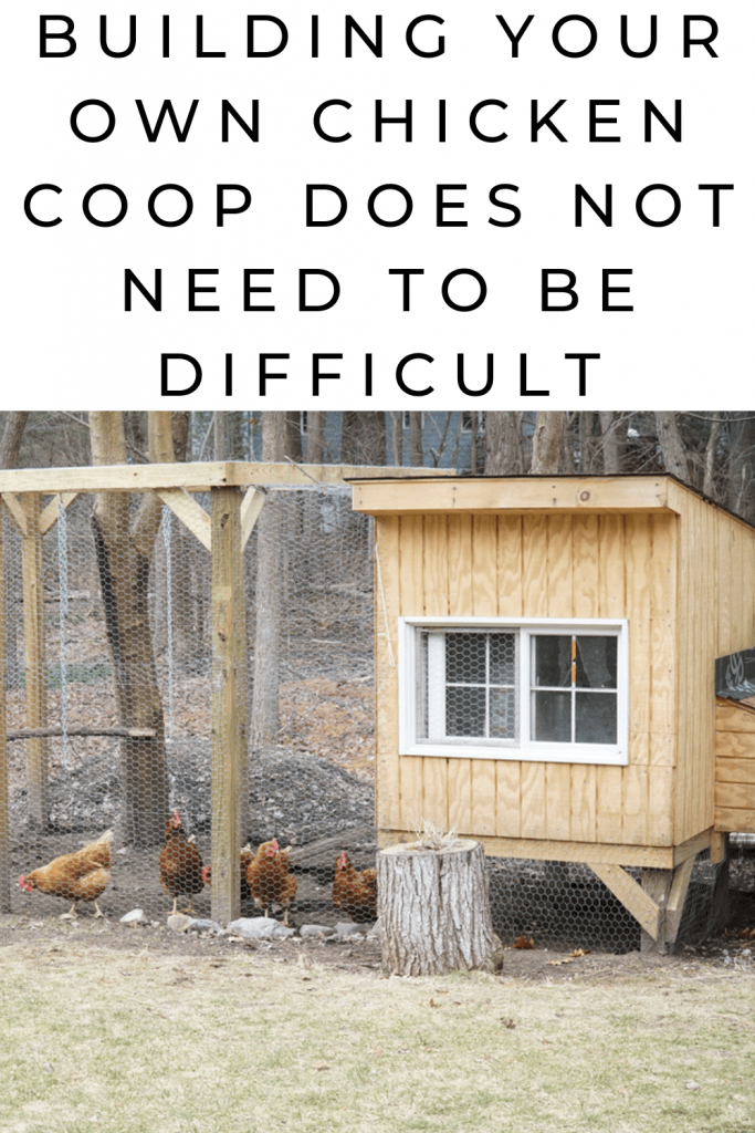 Building chicken coops is a rewarding project, which will repay you with healthy and safe hens as well as loads of fresh eggs. 