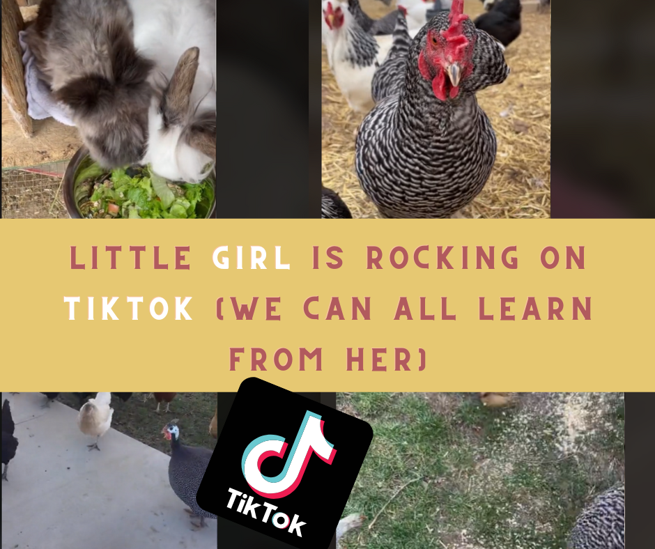 Little Girl is rocking on TikTok (we can all learn from her)