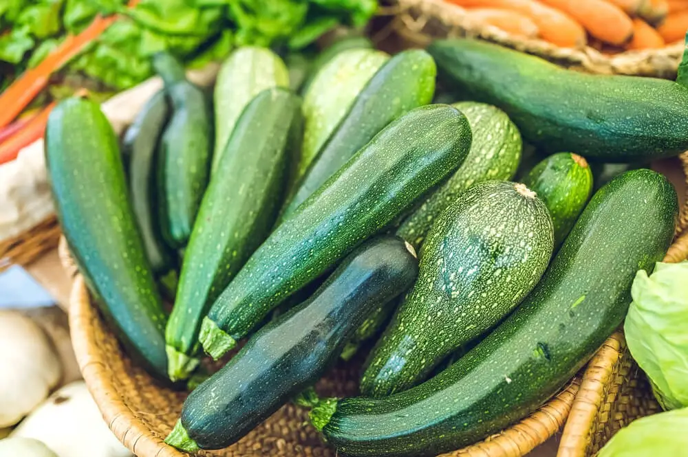 Fresh zucchini, green vegetables on local farmer market, freshly harvested courgette, summer squash