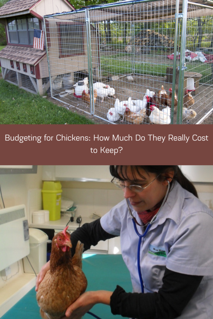 From purchasing the birds to housing and equipment, feed, and veterinary care, there are many expenses to consider. In this post, we'll take a deep dive into the costs of raising chickens, including the initial cost of purchasing the birds, the cost of housing and equipment, the cost of feed, and the cost of veterinary care. 