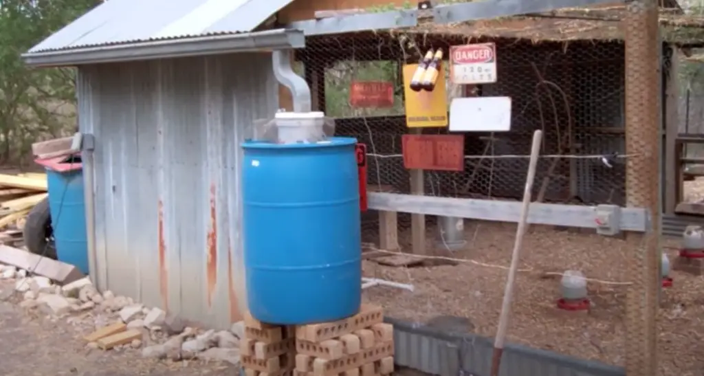 Automatic Chicken Watering System with Rainwater Harvesting