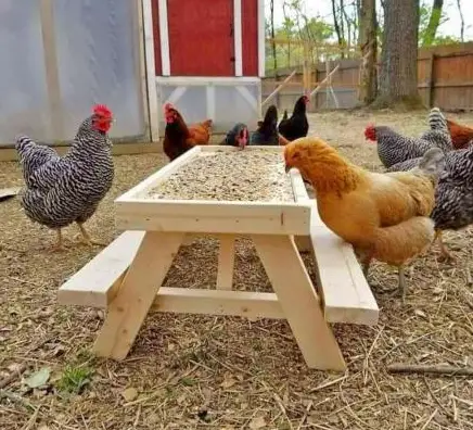 Chick-Nic Table for Outdoor Dining